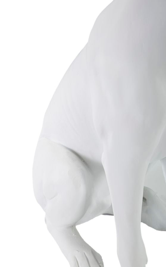 Statua Elegante di Cane con Corona Bianca 20x12,5x33 cm