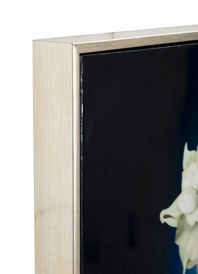 Dipinto Su Tela Laccato Isabel C/Cornice B 72X4X102