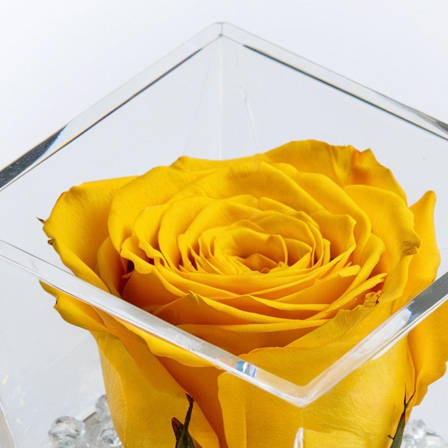 La Rosa Gialla Stabilizzata: uno scrigno eterno di emozione