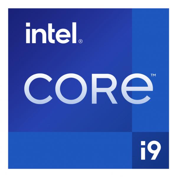 INTEL CPU 13TH GEN, I9-13900KF, LGA1700, 3.00GHz 36MB CACHE BOX, RAPTOR LAKE, NO FAN [BX8071513900KF]