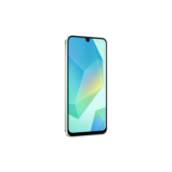 Samsung Galaxy A16 [SM-A165FLGBEUE]