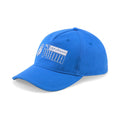 Puma FIGC Ftbl Core Cap 023950