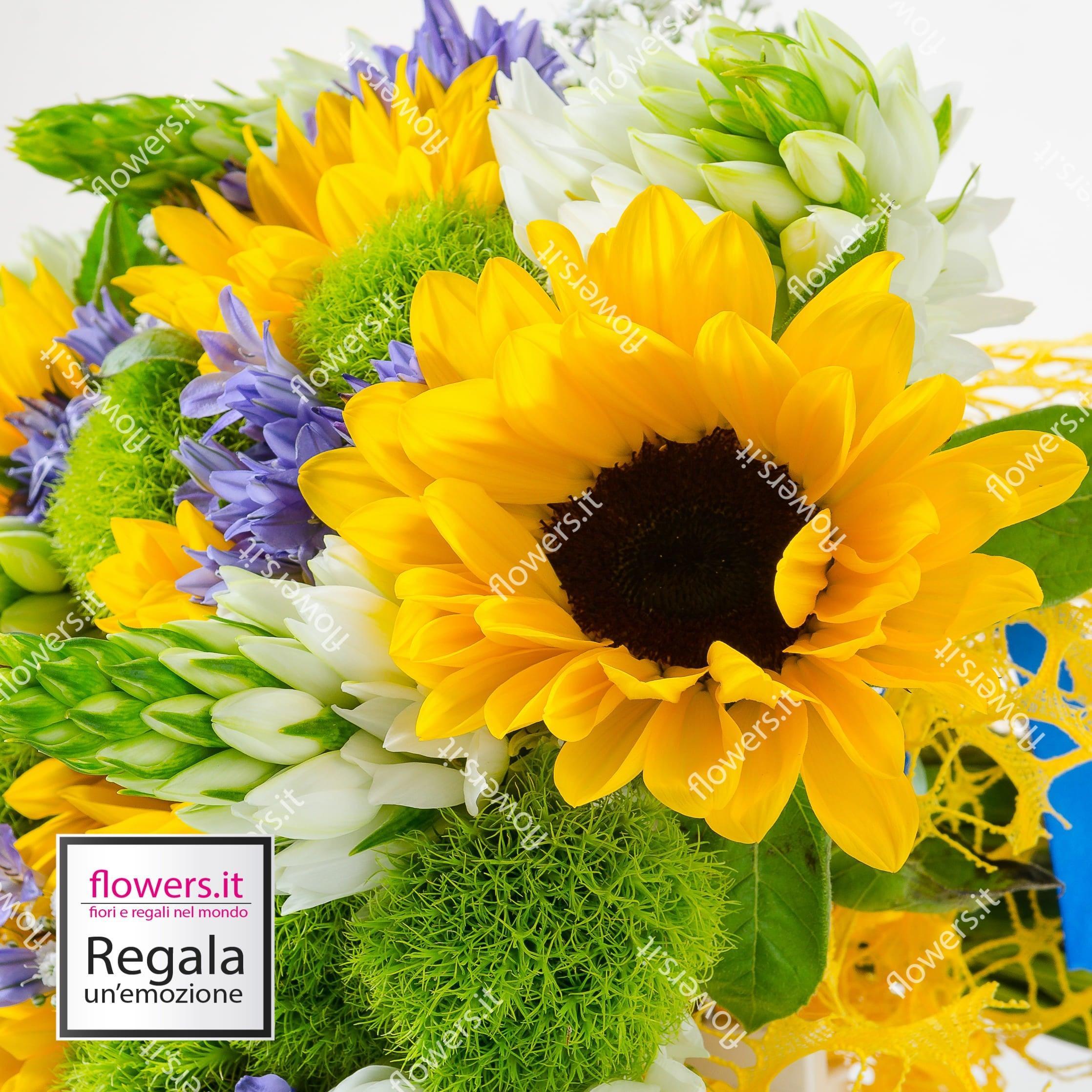 VITALITA' - Girasoli, ornitogallo, green trek e fiori di Fabiola