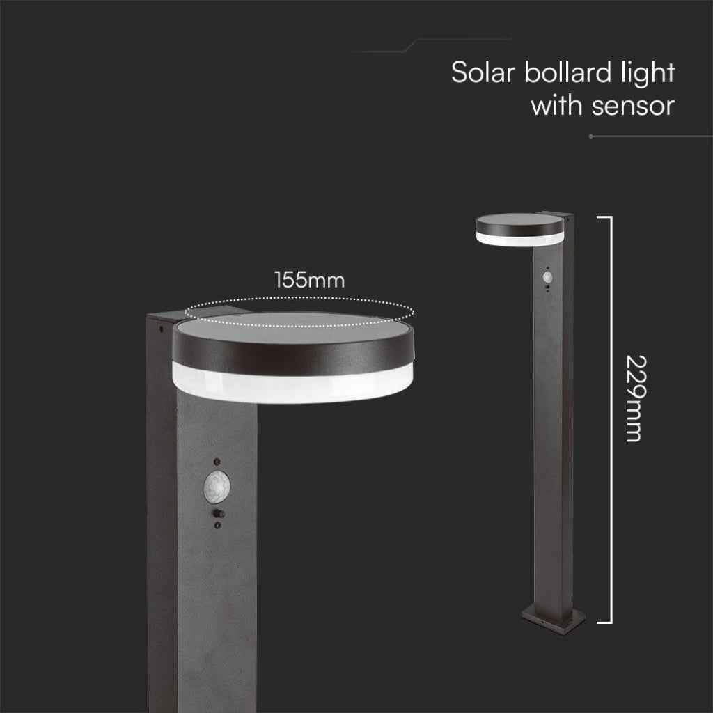 Piantana Solare LED 5.5W con Sensore PIR IP54 Luce Calda 3000K