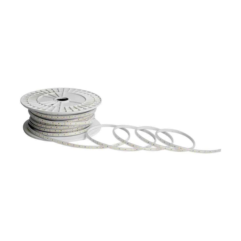 Strip LED 220V SMD2835 105 lm/m 50 m 120 LED/m 6500K IP65 10 mm