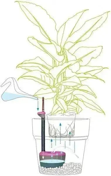 Acquaflora mini 0,7lt x vasi 25/35