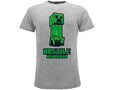 MINECRAFT  HOSTILE BEHAVIOUR  9/11  grigia