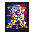 PYRAMID SONIC THE HEDGEHOG (SELECT YOUR FIGHTER) POSTER INCORNICIATO 3D