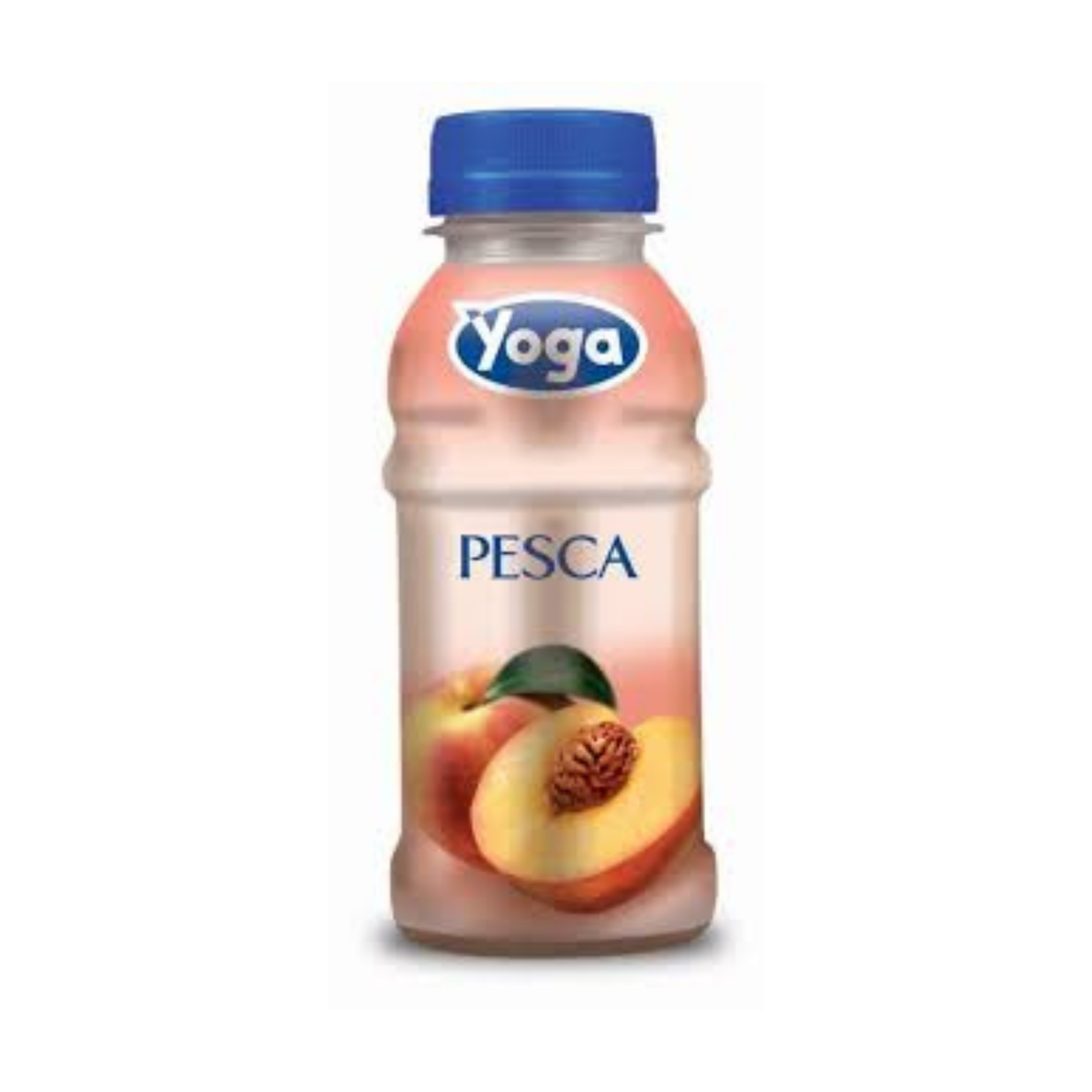 Succo pesca in Pet 25cl- Confezione da 12 pezzi