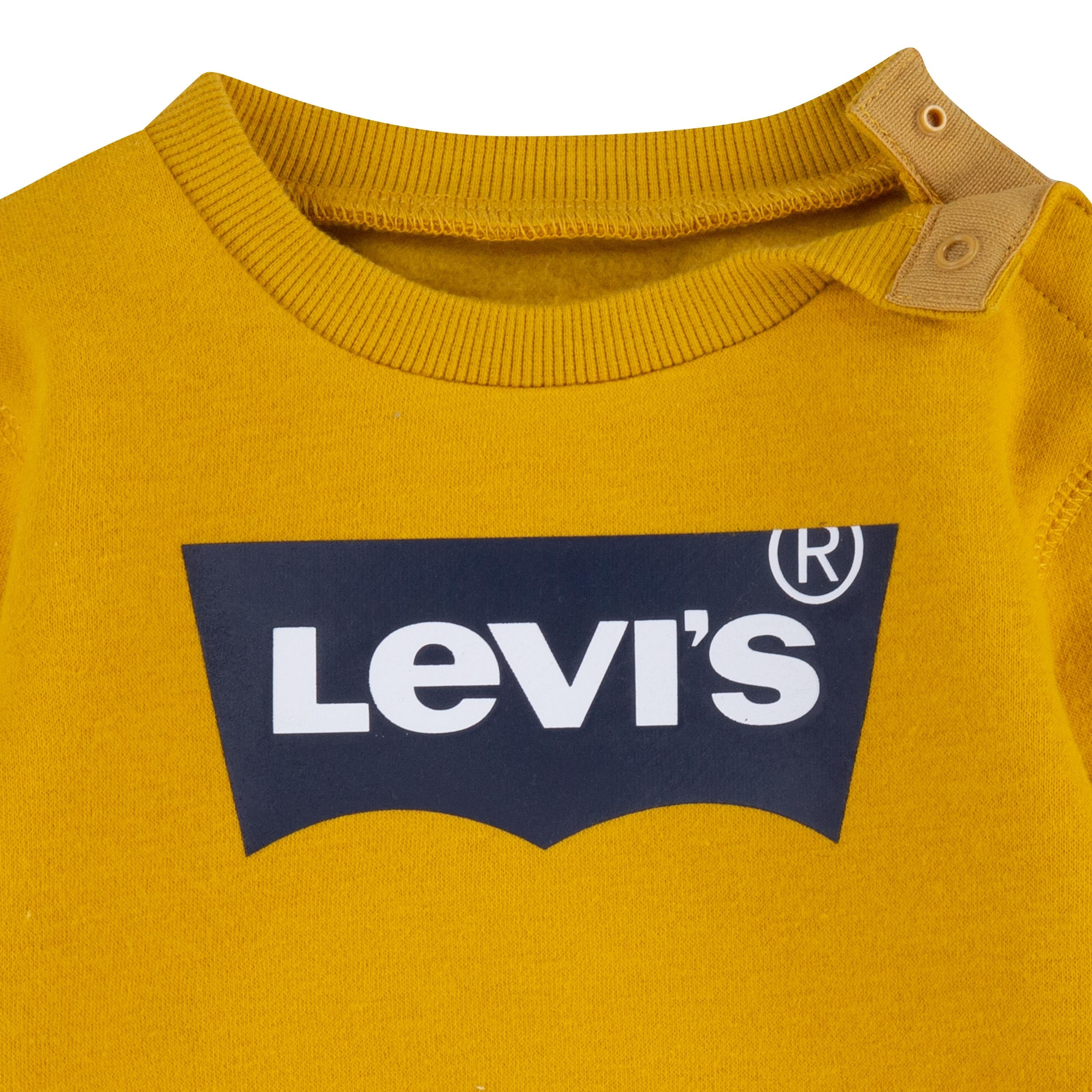 Levi's Kids Felpa da bambino Batwing Screenprint Hoodie 6E9079 Y0L giallo oro