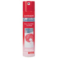 GARNIER CADONETT LACCA CAPELLI NORMALE 250 ML