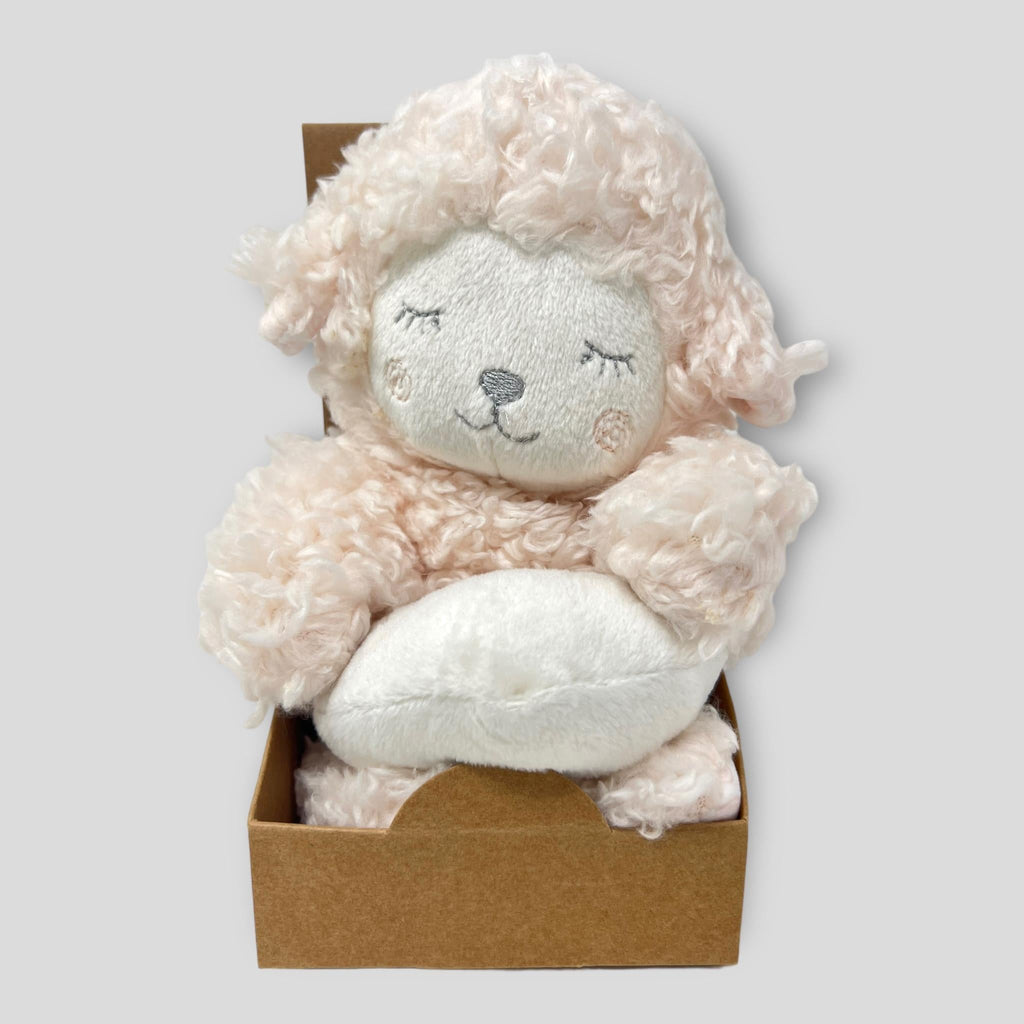 Roby Pupazzo Peluche Neonato Colori Rosa Cielo Art. C2127