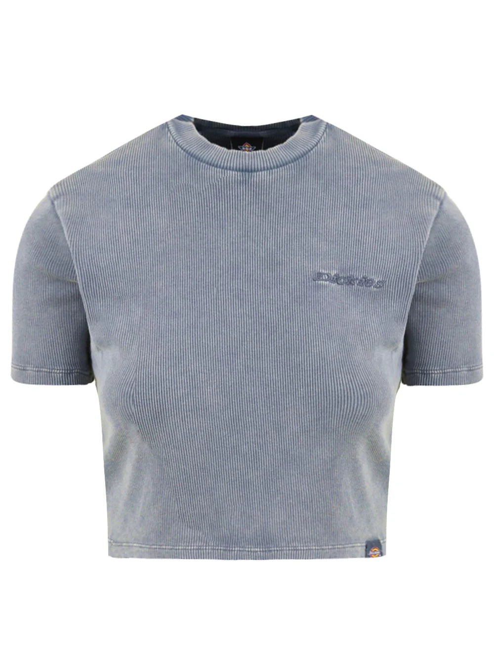 Dickies T-Shirt Donna Plentywood Coste DK0A866FL391 Stormy Weather | XS-L