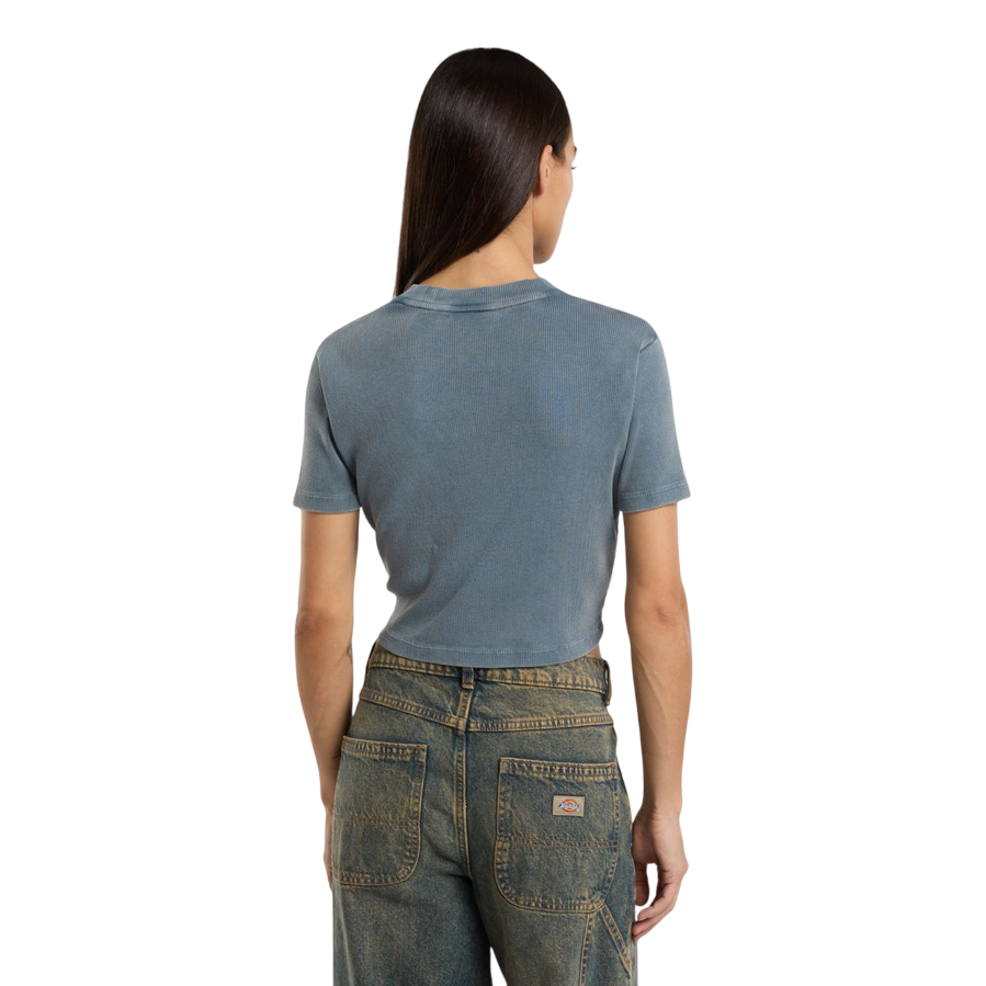 Dickies maglietta manica corta da donna a coste Plentywood DK0A866FG701 nuvole grigie