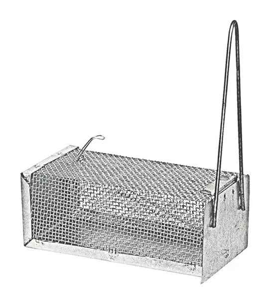 Gabbietta per catturare topi di medie dimensioni 12x24x10h