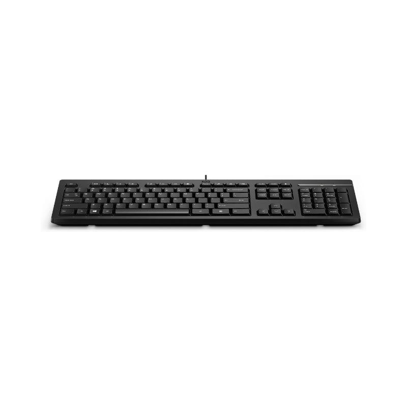 HP Tastiera 125 Wired, Full-size (100%), Cablato, USB, Interruttore a chiave a membrana, Nero [266C9ET#ABZ]