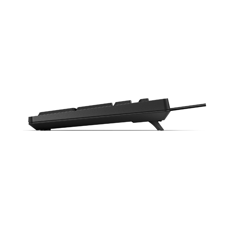 HP Tastiera 125 Wired, Full-size (100%), Cablato, USB, Interruttore a chiave a membrana, Nero [266C9ET#ABZ]