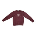 Dickies felpa Byronville Men’s Relaxed Fit DK0A4TMMEL01 maroon