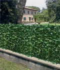 Siepe Sempreverde Lauro a Rotolo 100 cm – Coprente, resistente, UV