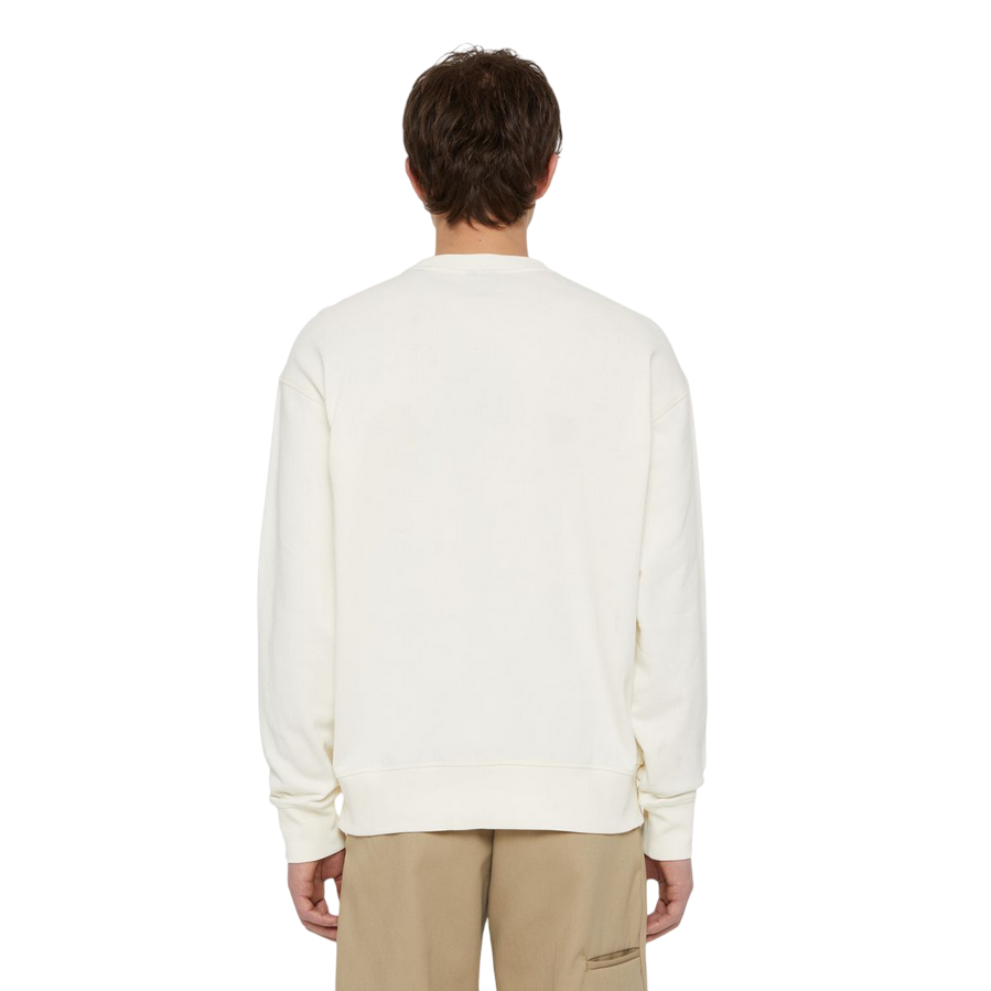 Dickies Felpa girocollo da uomo Millersburg DK0A4YLZECR1 ecru