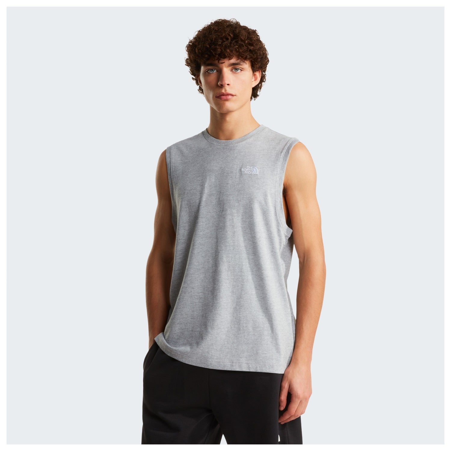 The North Face Canotta Evolution Simple Dome NF0A8FD4CQO Grigio Uomo
