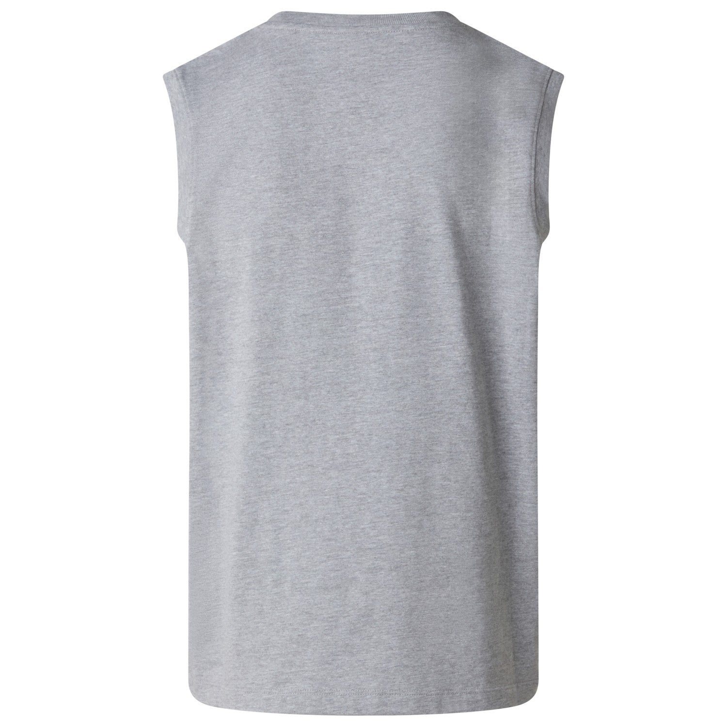 The North Face Canotta Evolution Simple Dome NF0A8FD4CQO Grigio Uomo
