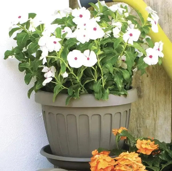 Vaso terra cappuccino diverse misure