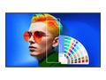 SIZE: 75 PANTONE X SKINTONE LED 3840X2160 [SL7504]