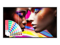 55 PANTONE X SKINTONE LED 3840X2160 24/7 [SH5504]