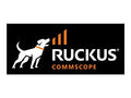 Spares of EU Power Adapter for Ruckus R720, R730/850/650/560 [902-1170-EU00]