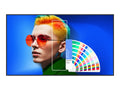 SIZE: 86 PANTONE X SKINTONE LED 3840X2160 [SL8604]