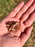 Aragonite