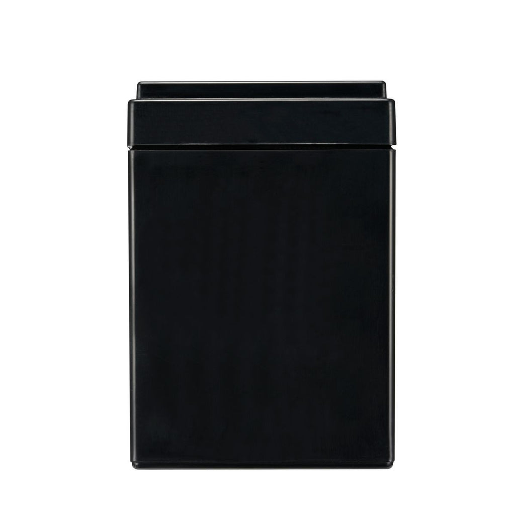 APC APCRBC175 batteria UPS Acido piombo (VRLA) 12 V 9 Ah [APCRBC175]