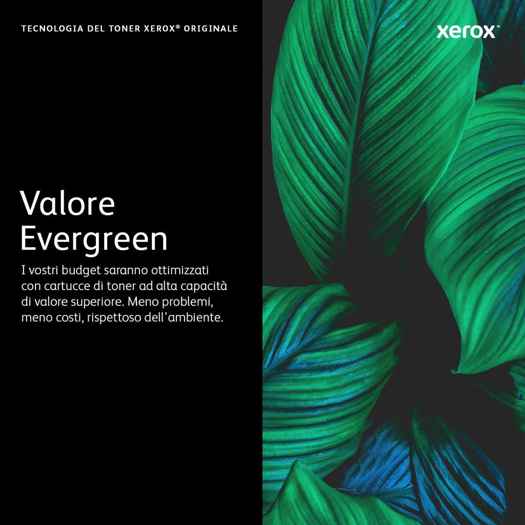 Xerox Cartuccia toner Magenta a High capacity da 2400 Pagine per Phaser 6510, WorkCentre 6515 (106R03478) [106R03478]