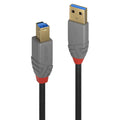 Lindy 36741 cavo USB 1 m USB 3.2 Gen 1 (3.1 Gen 1) USB A USB B Nero [LINDY36741]