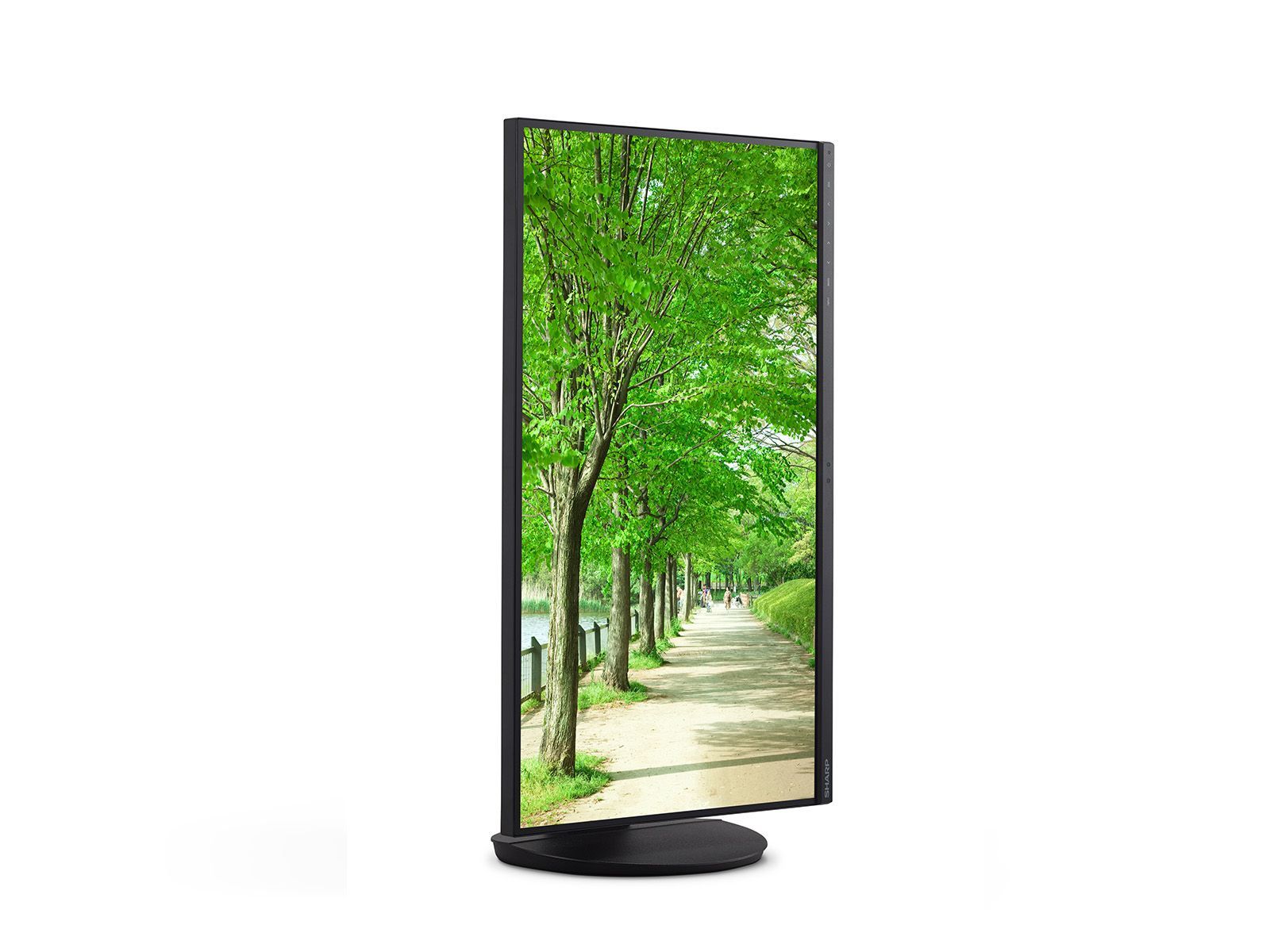 NEC Display MultiSync EA272U 68,6 cm/27" Schermo piatto (tft / lcd) - 3840x2160 IPS [60006064]