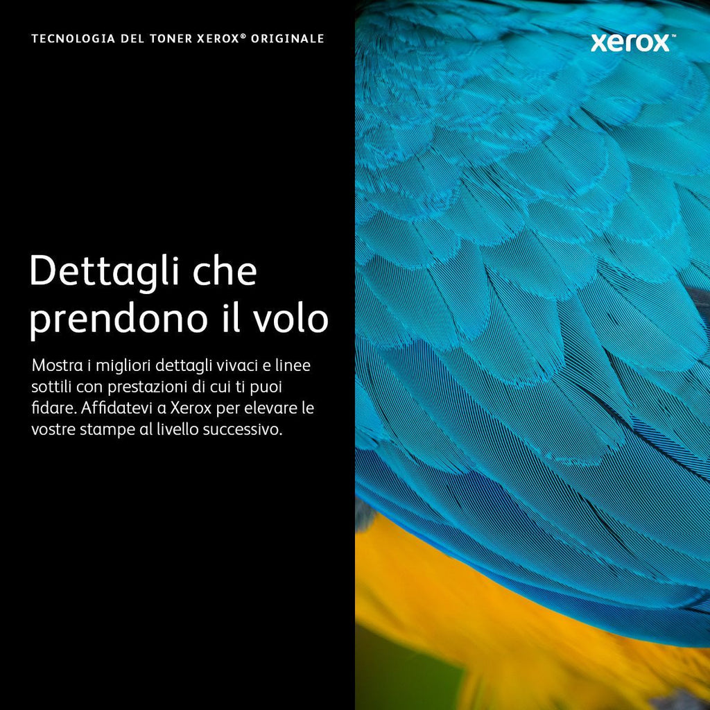Xerox Cartuccia toner Nero a Alta capacità da 5500 Pagine per Phaser 6510, WorkCentre 6515 (106R03480) [106R03480]