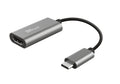 Trust Dalyx adattatore grafico USB Grigio [23774]