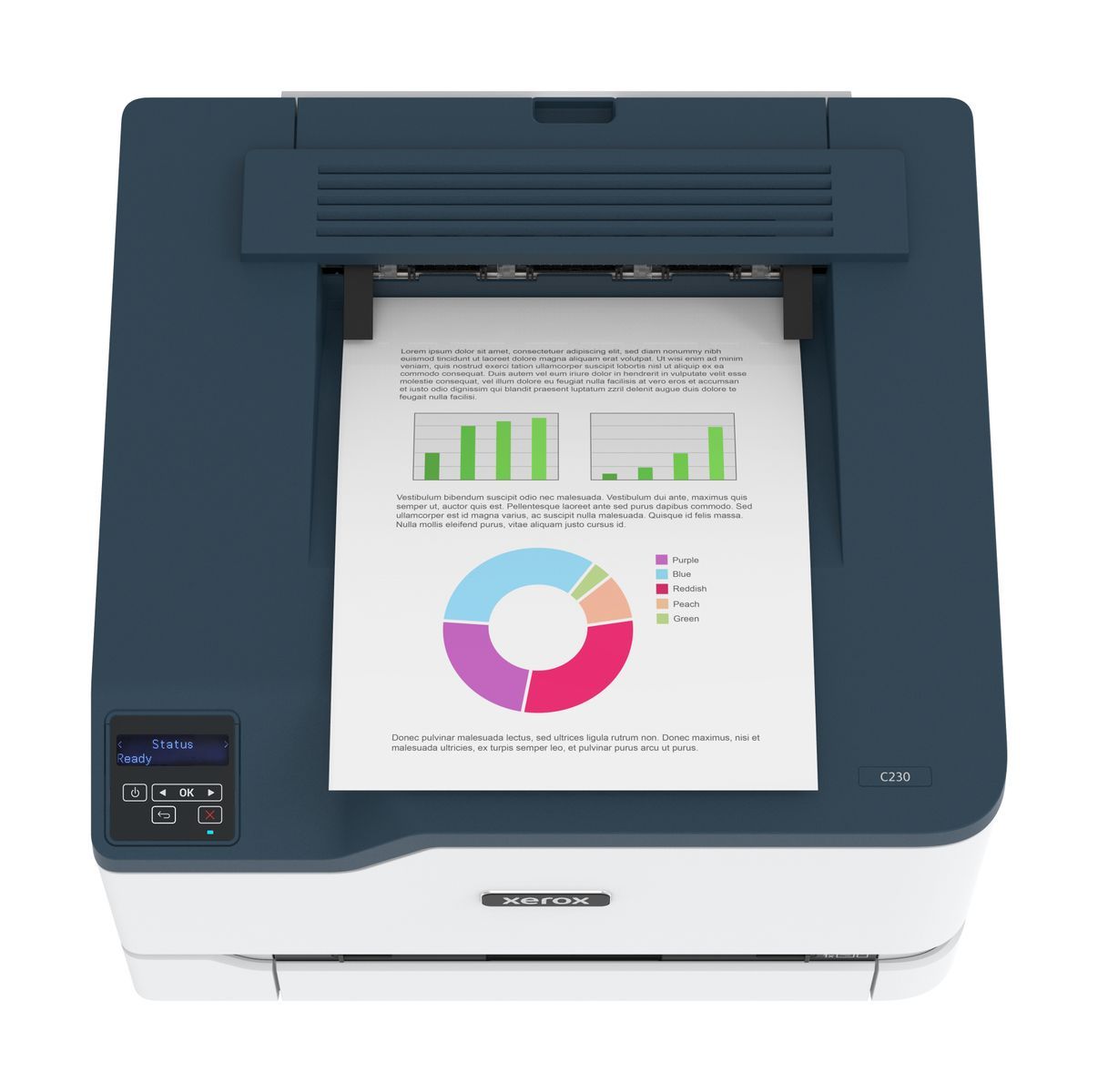 Xerox C230 A4 22 ppm Stampante fronte/retro wireless PS3 PCL5e/6 2 vassoi Totale 251 fogli [C230V_DNI]