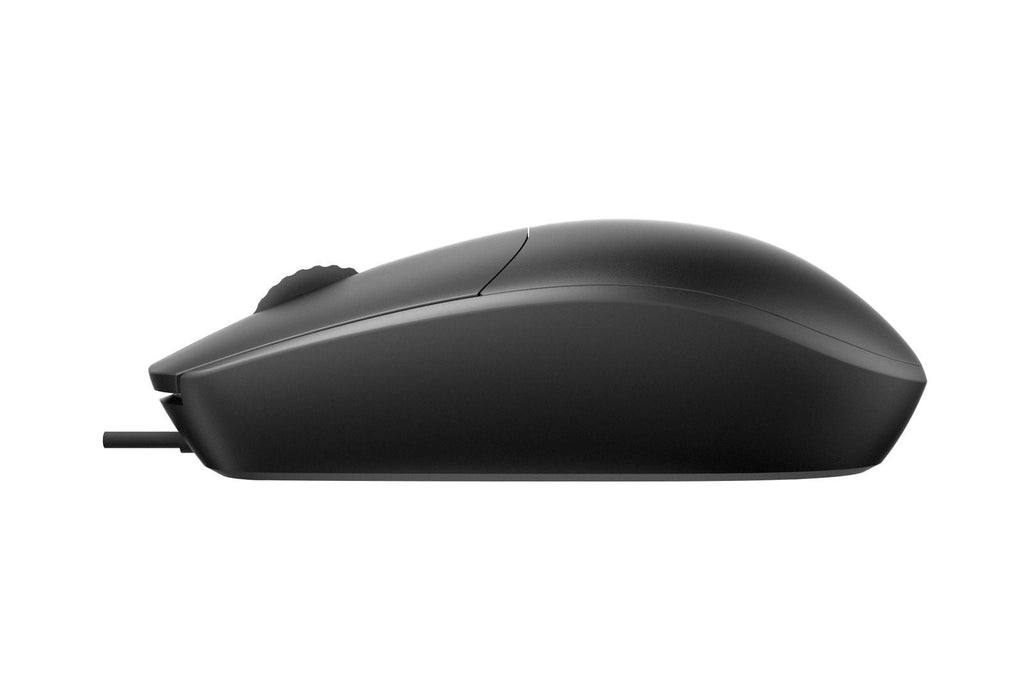 Rapoo N100 mouse Ambidestro USB tipo A Ottico 1600 DPI [18050]