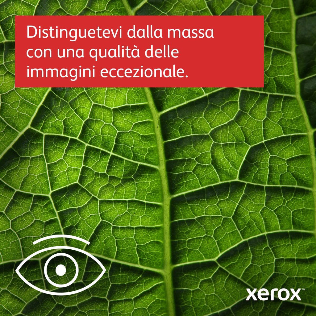 Xerox C325 A4 33 ppm Copia/Stampa/Scansione/Fax fronte/retro wireless PS3 PCL5e/6 2 vassoi 251 fogli [C320V_DNI]