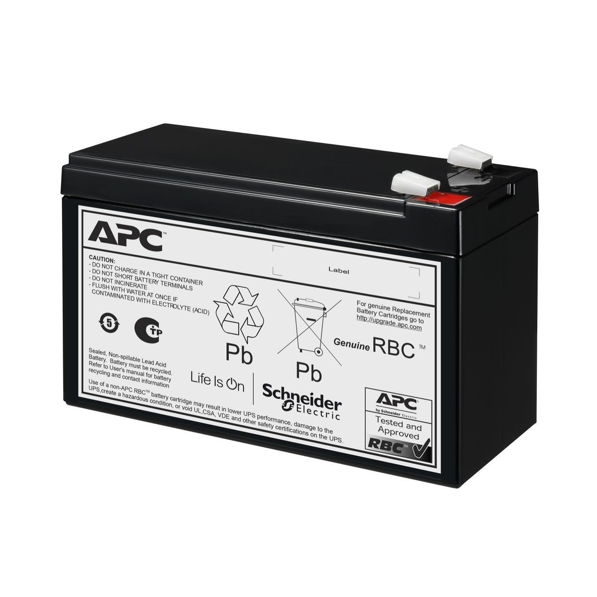 APC APCRBC176 batteria UPS Acido piombo (VRLA) 24 V 9 Ah [APCRBC176]
