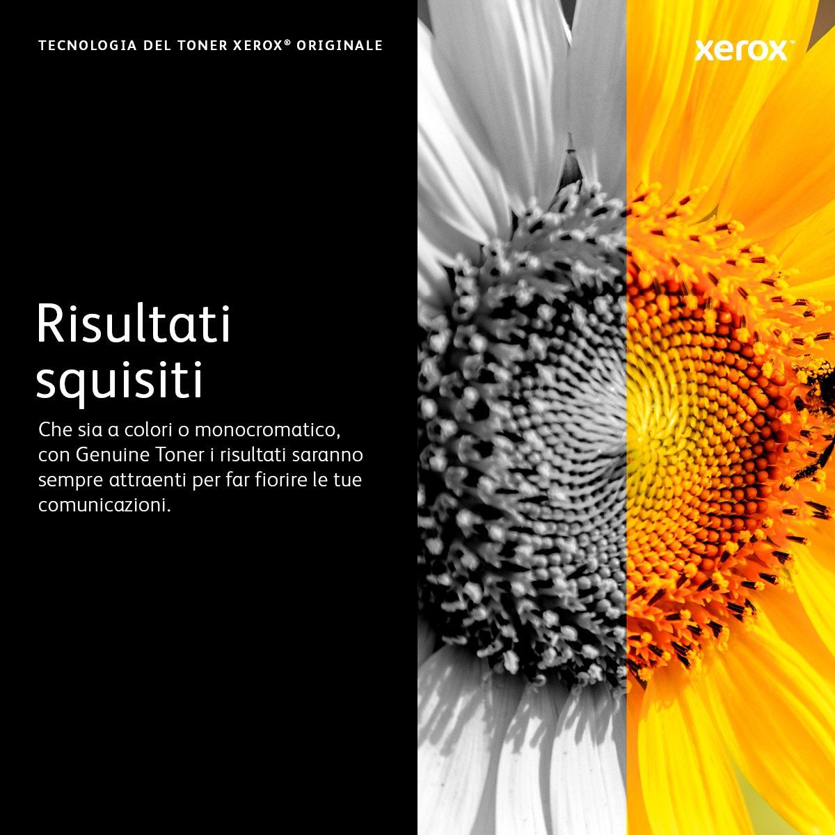 Xerox Cartuccia toner Magenta a Capacità standard da 2000 Pagine per Stampante a colori  C310/multifunzione a colori  C315 (006R04358) [006R04358]