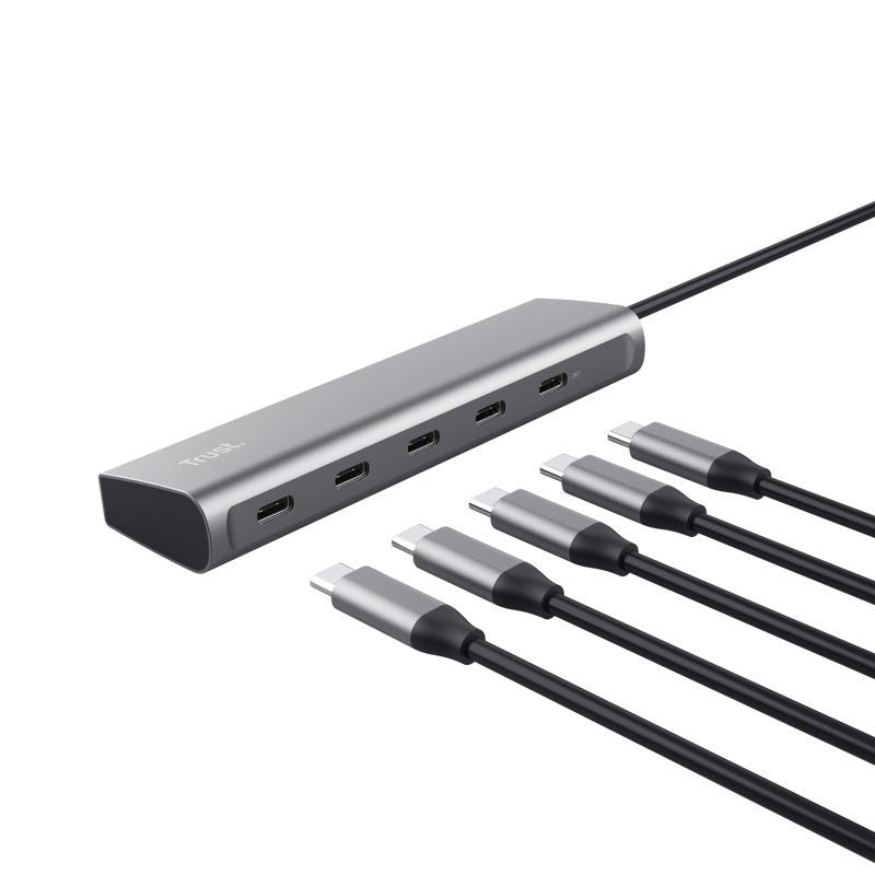 Trust Halyx USB 3.2 Gen 1 (3.1 Gen 1) Type-C Argento [25136]