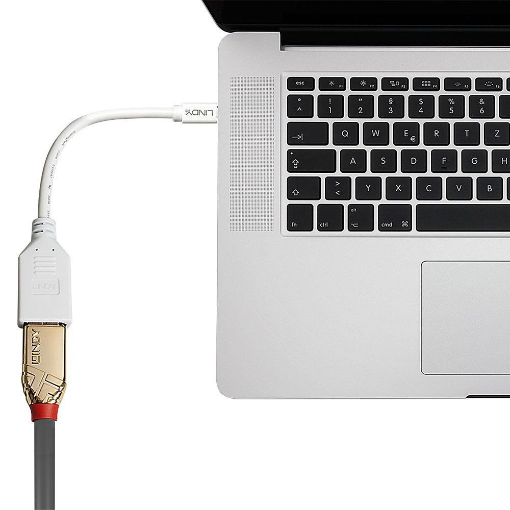 Lindy 41021 cavo DisplayPort 0,15 m Mini DisplayPort Bianco [LINDY41021]
