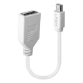 Lindy 41021 cavo DisplayPort 0,15 m Mini DisplayPort Bianco [LINDY41021]
