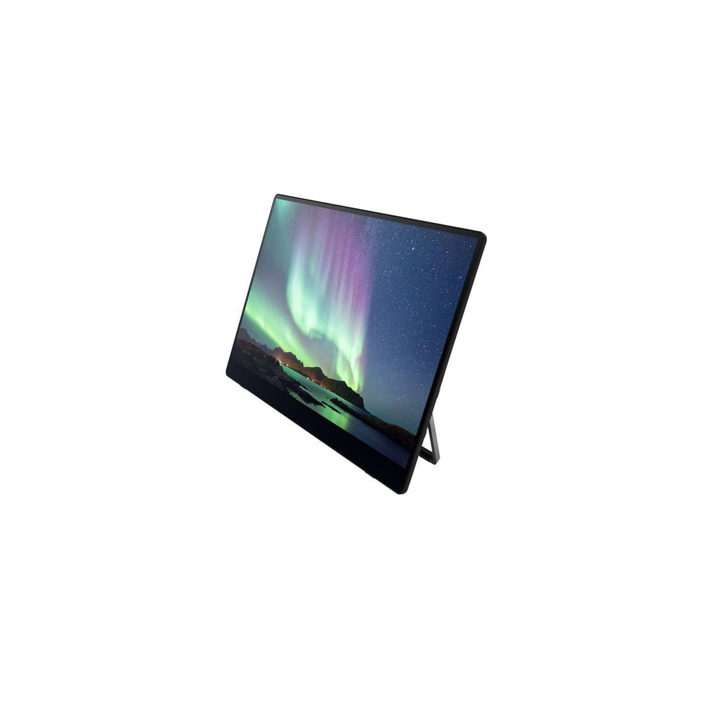 Ricoh Monitor portatile 150BW [514910]