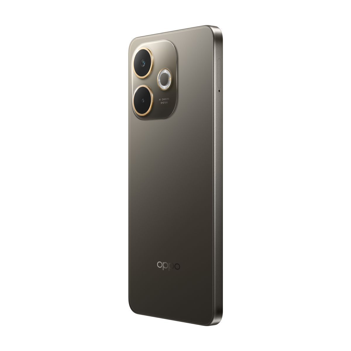 OPPO A5 Pro Smartphone, Foto AI 50MP, Frontale 8MP, Display 6.67 90HZ LCD HD+, 5800mAh, RAM 8(Esp4GB/6GB/8GB)+ROM 256GB (esp1TB), IP69, [Versione Italia], Black Brown [0150870287]