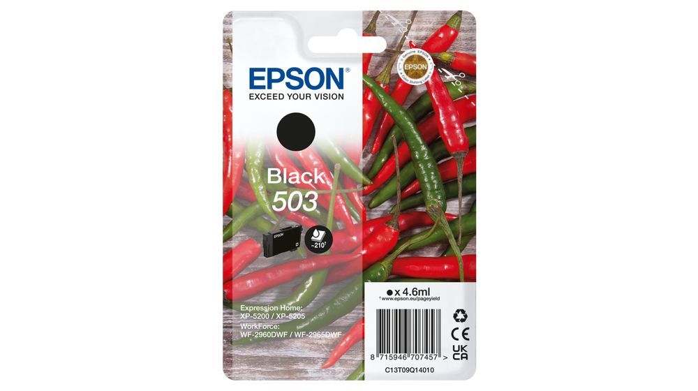 Epson 503 cartuccia d'inchiostro 1 pz Originale Resa standard Nero [C13T09Q14010]
