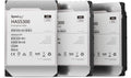 Synology HAS5300-8T disco rigido interno 8 TB 7200 Giri/min 256 MB 3.5" SAS [HAS5300-8T]